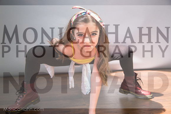 Copyright: MonicaHahnPhotography.com &FenceOgraphy.com