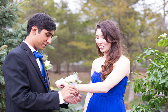 Copyright: MonicaHahnPhotography.com & FenceOgraphy.com
