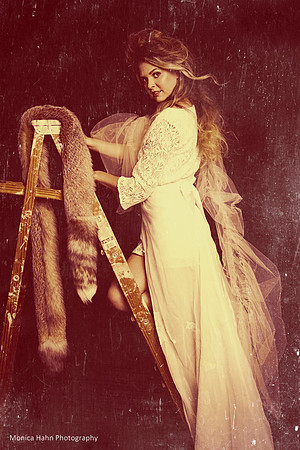 Copyright: MonicaHahnPhotography.com & FenceOgraphy.com