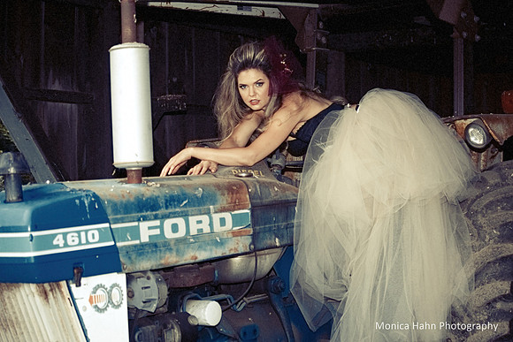 Copyright: MonicaHahnPhotography.com & FenceOgraphy.com