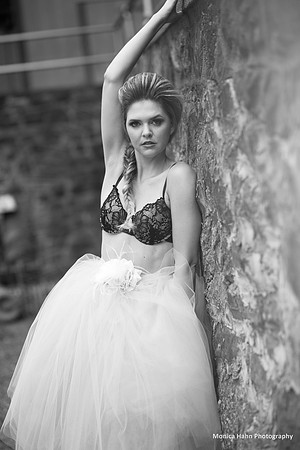 Copyright: MonicaHahnPhotography.com & FenceOgraphy.com