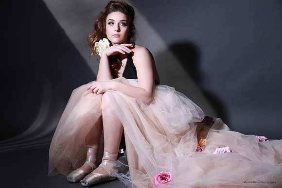 "monica Hahn Photography", "monica hahn", "Photo Shoots", photoshoot, "photo shoot", "book a Session",Portraits, Portraiture, "portrait couture", "portrait photographer", "best portrait photographer",