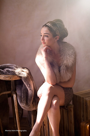 Copyright: MonicaHahnPhotography.com & FenceOgraphy.com