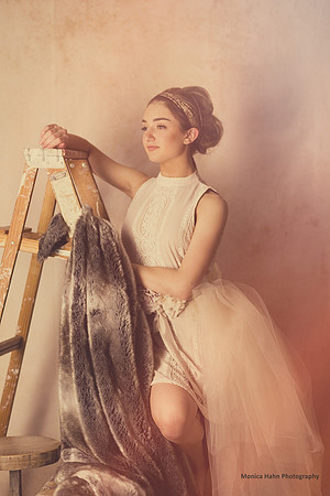 Copyright: MonicaHahnPhotography.com & FenceOgraphy.com