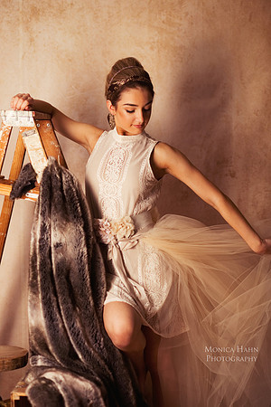 Copyright: MonicaHahnPhotography.com & FenceOgraphy.com