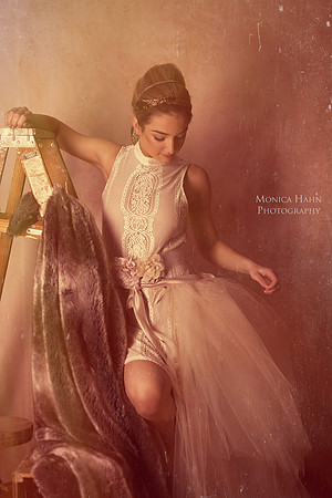 Copyright: MonicaHahnPhotography.com & FenceOgraphy.com