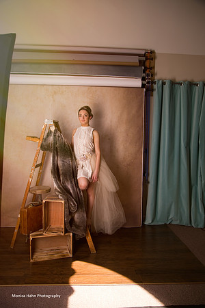 Copyright: MonicaHahnPhotography.com & FenceOgraphy.com