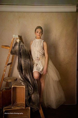 Copyright: MonicaHahnPhotography.com & FenceOgraphy.com