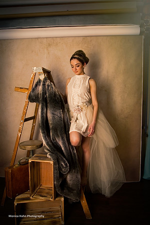 Copyright: MonicaHahnPhotography.com & FenceOgraphy.com