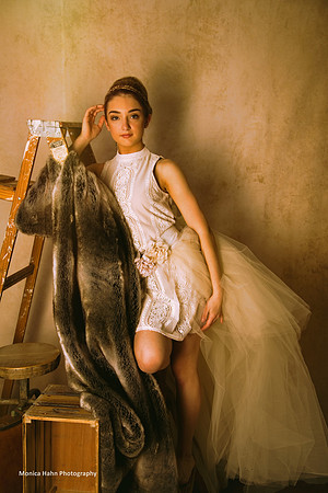 Copyright: MonicaHahnPhotography.com & FenceOgraphy.com