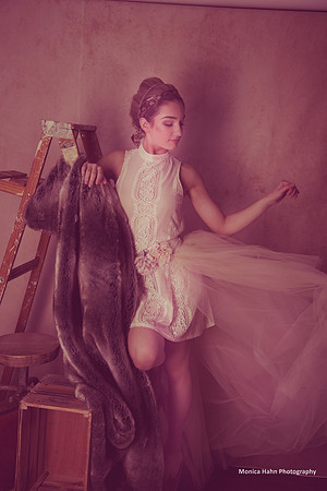 Copyright: MonicaHahnPhotography.com & FenceOgraphy.com