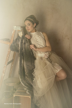 Copyright: MonicaHahnPhotography.com & FenceOgraphy.com