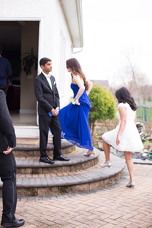 Copyright: MonicaHahnPhotography.com & FenceOgraphy.com