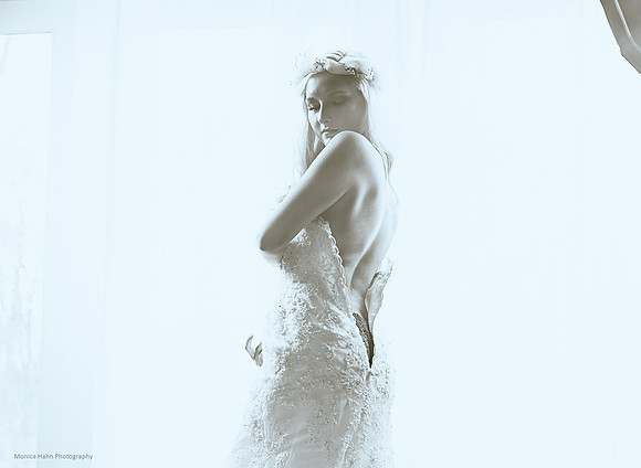 Monica Hahn Photography