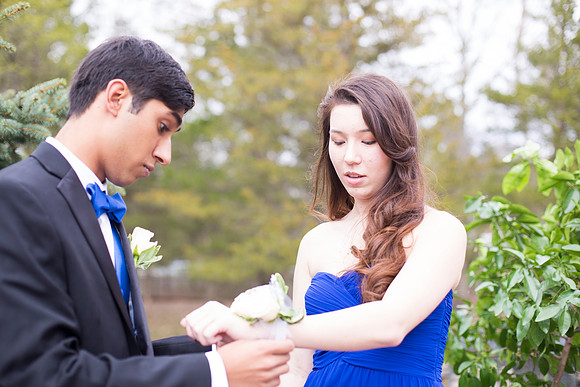 Copyright: MonicaHahnPhotography.com & FenceOgraphy.com