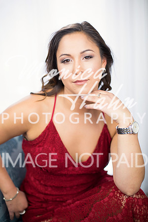 Copyright: MonicaHahnPhotography.com & FenceOgraphy.com
