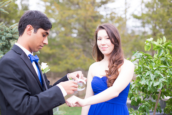 Copyright: MonicaHahnPhotography.com & FenceOgraphy.com