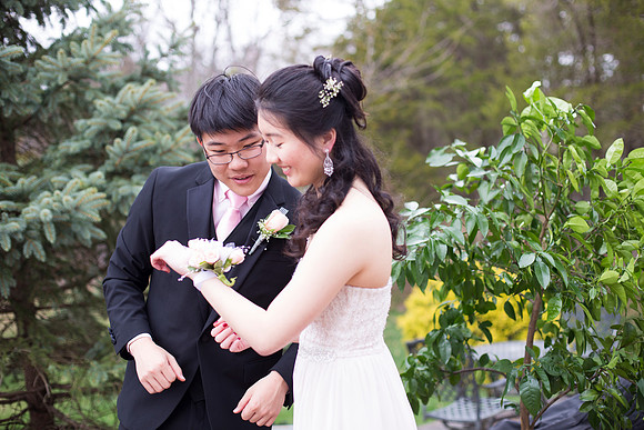 Copyright: MonicaHahnPhotography.com & FenceOgraphy.com