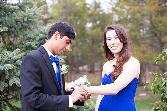Copyright: MonicaHahnPhotography.com & FenceOgraphy.com