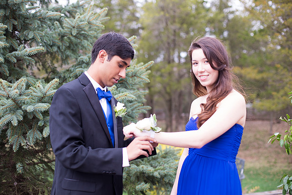 Copyright: MonicaHahnPhotography.com & FenceOgraphy.com