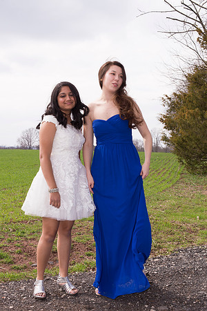 Copyright: MonicaHahnPhotography.com & FenceOgraphy.com