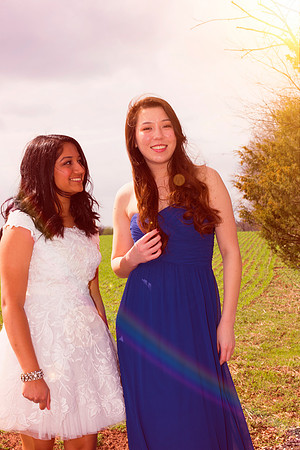 Copyright: MonicaHahnPhotography.com & FenceOgraphy.com