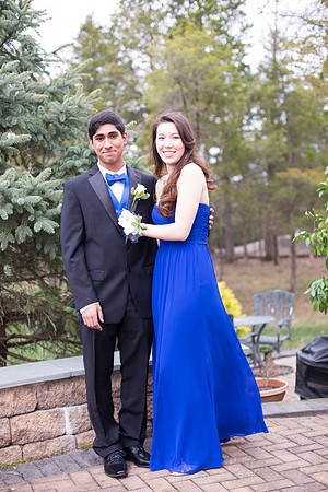 Copyright: MonicaHahnPhotography.com & FenceOgraphy.com