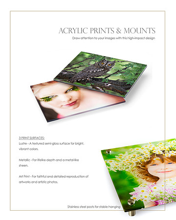 6_Acrylic Wall Mounts_photo details