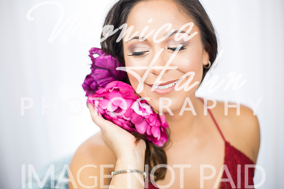 Copyright: MonicaHahnPhotography.com & FenceOgraphy.com