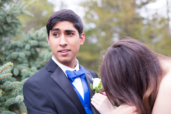Copyright: MonicaHahnPhotography.com & FenceOgraphy.com