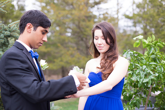 Copyright: MonicaHahnPhotography.com & FenceOgraphy.com