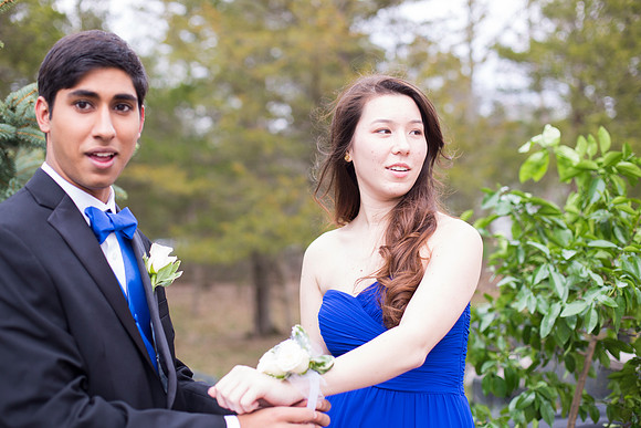 Copyright: MonicaHahnPhotography.com & FenceOgraphy.com