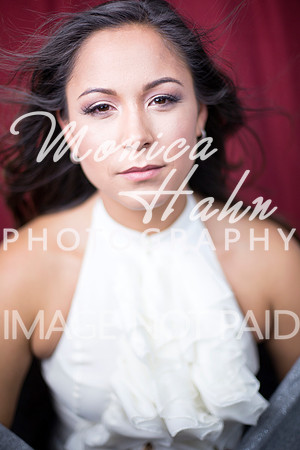 Copyright: MonicaHahnPhotography.com & FenceOgraphy.com