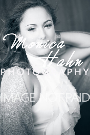 Copyright: MonicaHahnPhotography.com & FenceOgraphy.com