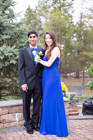 Copyright: MonicaHahnPhotography.com & FenceOgraphy.com