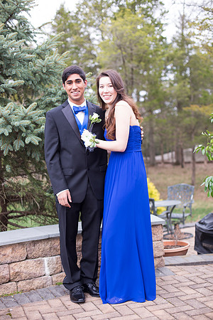 Copyright: MonicaHahnPhotography.com & FenceOgraphy.com