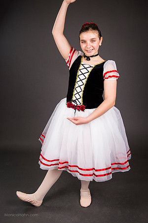 Copyright MonicaHahnPhotography & FenceOgraphy