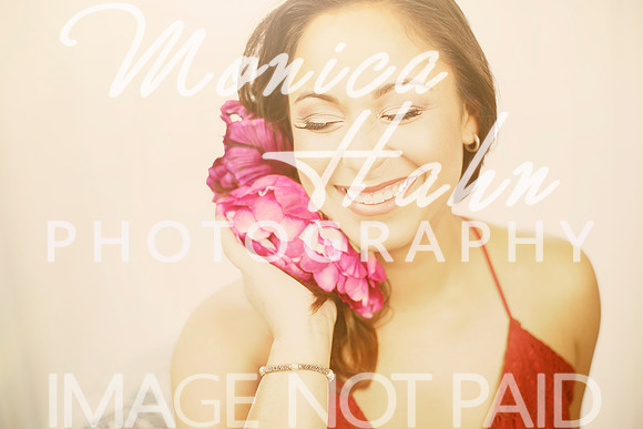 Copyright: MonicaHahnPhotography.com & FenceOgraphy.com