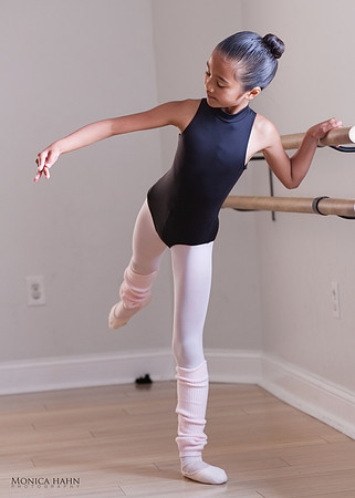 @ Monica Hahn Photography  / @ FenceOgraphy