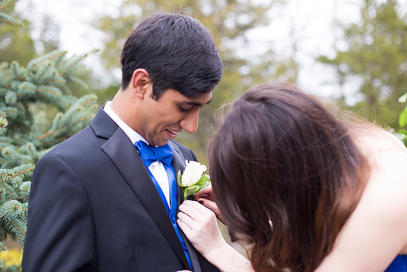 Copyright: MonicaHahnPhotography.com & FenceOgraphy.com