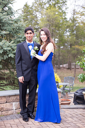 Copyright: MonicaHahnPhotography.com & FenceOgraphy.com