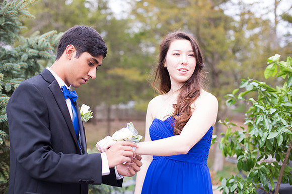 Copyright: MonicaHahnPhotography.com & FenceOgraphy.com