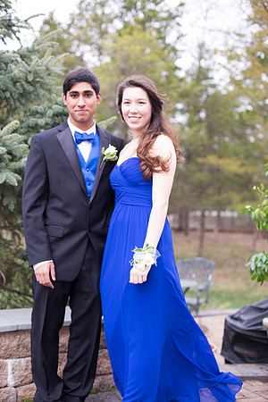Copyright: MonicaHahnPhotography.com & FenceOgraphy.com