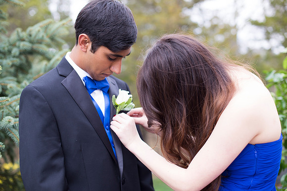 Copyright: MonicaHahnPhotography.com & FenceOgraphy.com