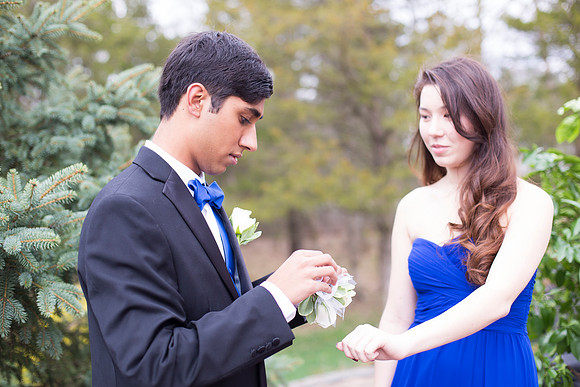 Copyright: MonicaHahnPhotography.com & FenceOgraphy.com