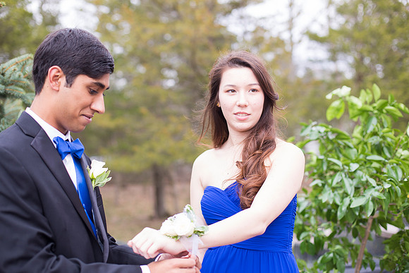 Copyright: MonicaHahnPhotography.com & FenceOgraphy.com