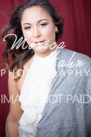 Copyright: MonicaHahnPhotography.com & FenceOgraphy.com
