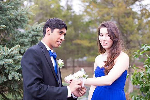 Copyright: MonicaHahnPhotography.com & FenceOgraphy.com