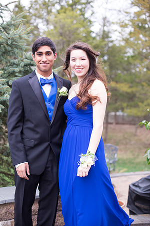 Copyright: MonicaHahnPhotography.com & FenceOgraphy.com