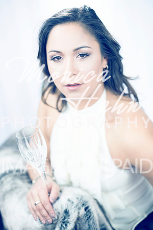Copyright: MonicaHahnPhotography.com & FenceOgraphy.com